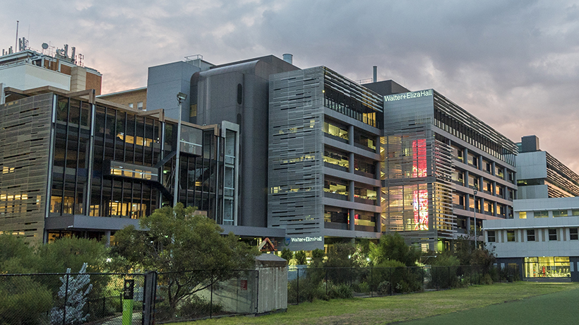 In focus: Walter and Eliza Hall Institute of Medical Research