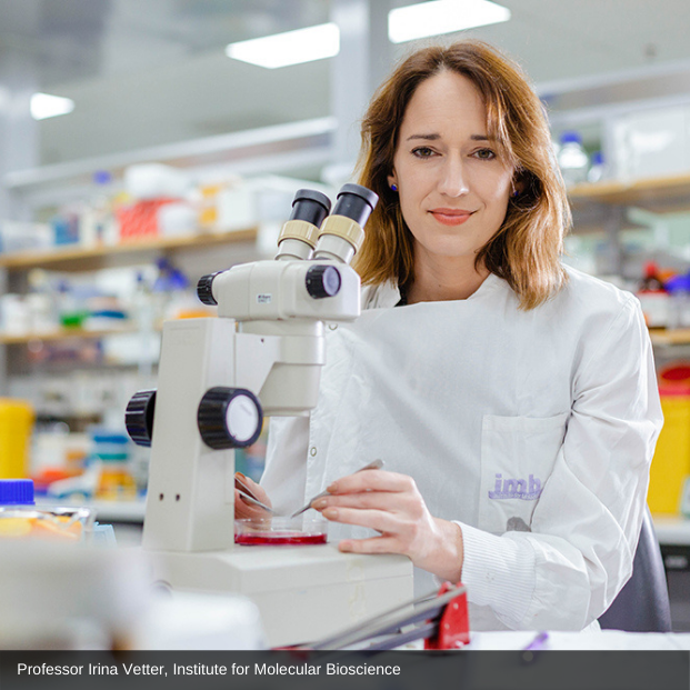 Inflammation triggered by the chemo drug Image